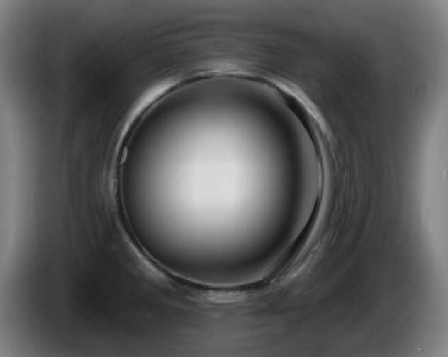 X0000086101285200703301206