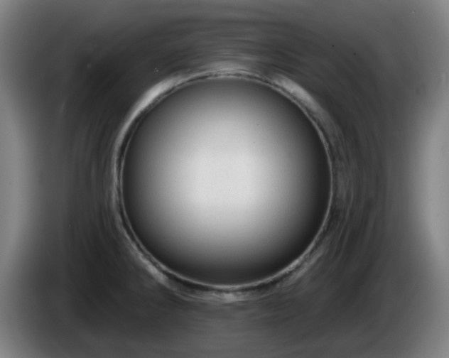 X0000086101286200703301206