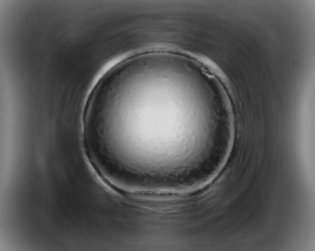 X0000086101287200703301206