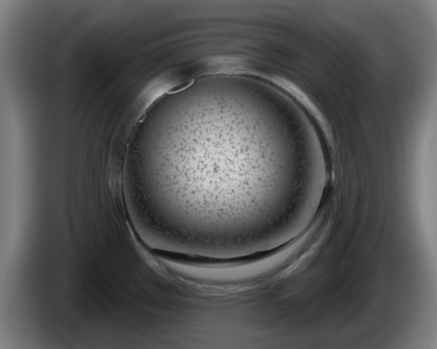 X0000086101289200703301206