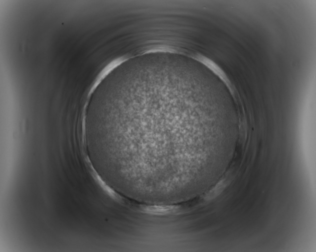 X0000086101290200703301206