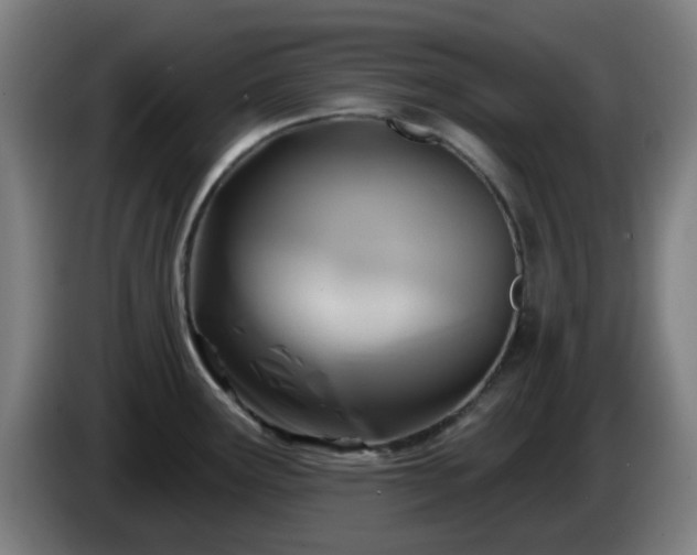 X0000086101291200703301206