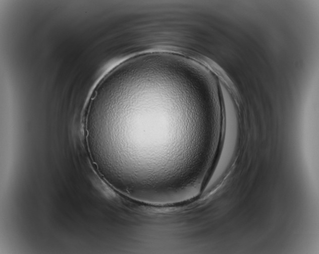 X0000086101292200703301206