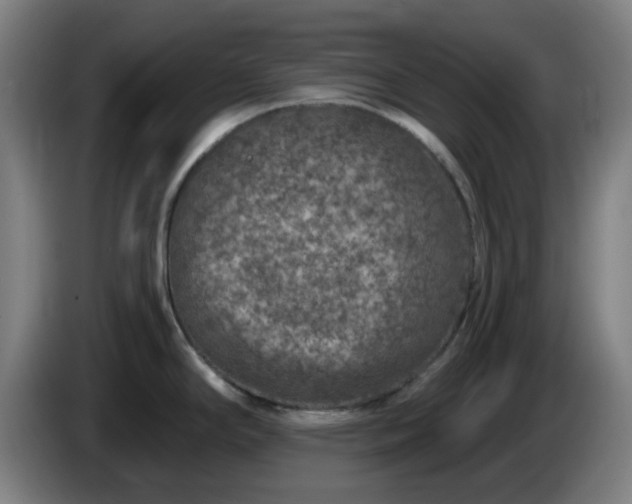 X0000086101294200703301206