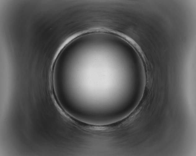 X0000086101295200703301206