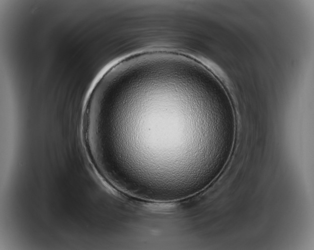 X0000086101296200703301206