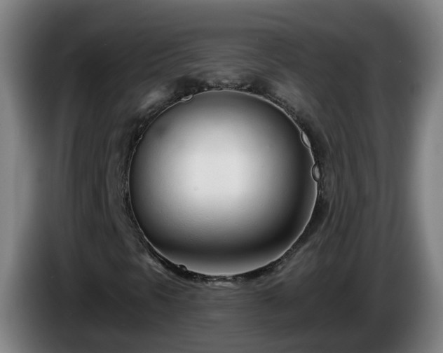X0000086101297200703301206