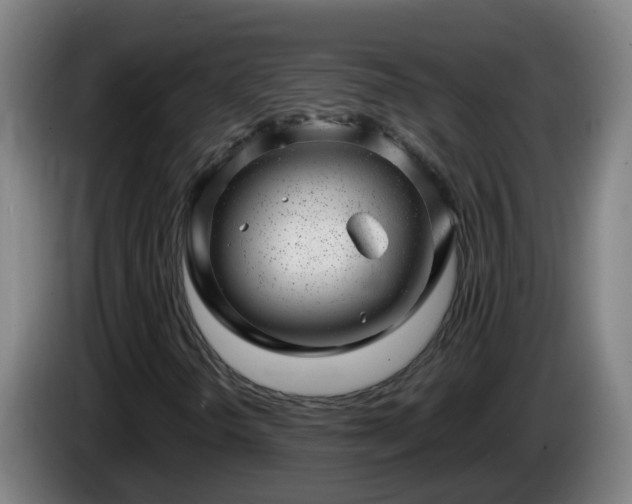 X0000086101298200703301206