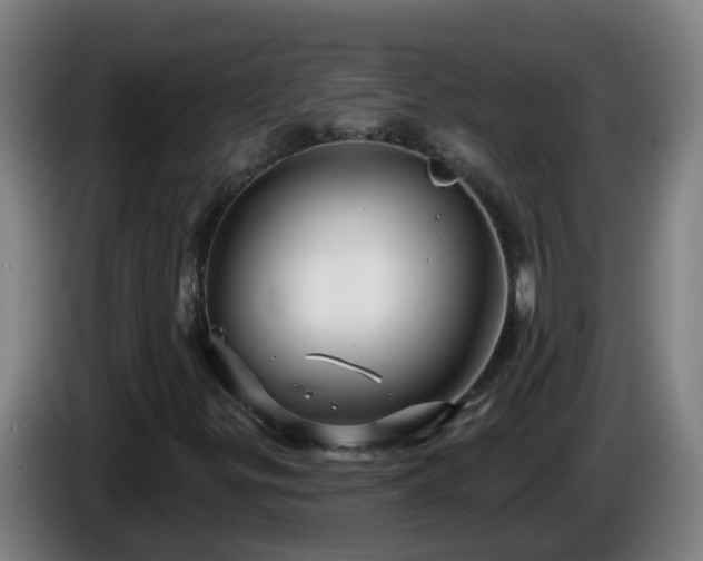 X0000086101299200703301206