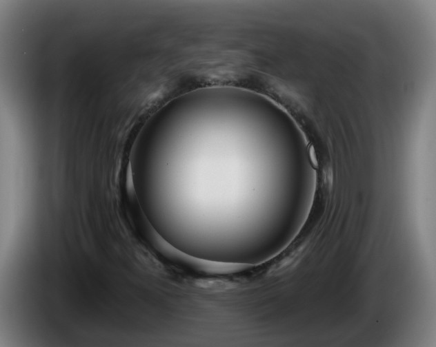 X0000086101300200703301206