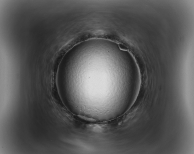 X0000086101301200703301206