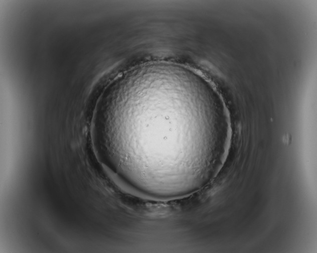 X0000086101302200703301206