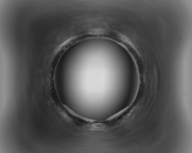 X0000086101304200703301206