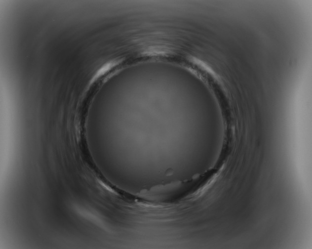X0000086101306200703301206