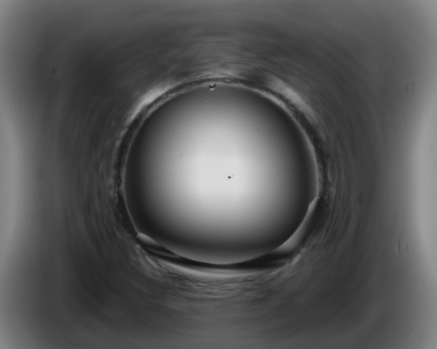 X0000086101308200703301206