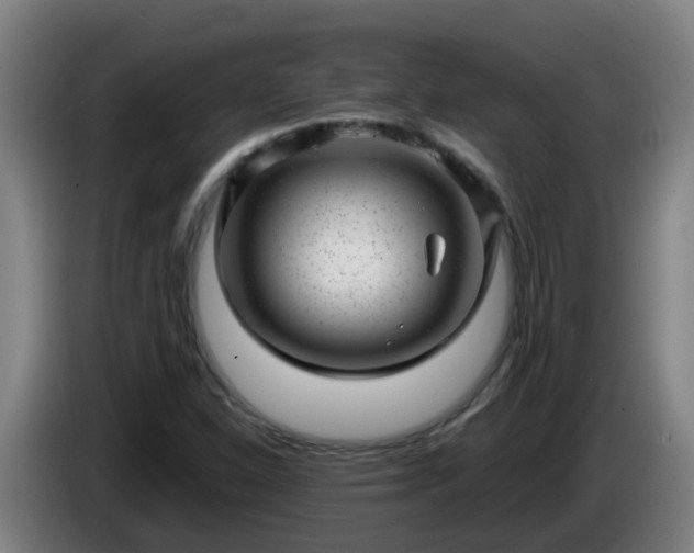 X0000086101310200703301206