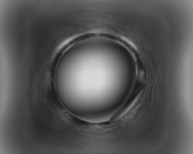 X0000086101311200703301206