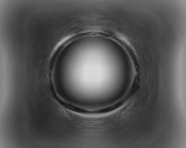 X0000086101312200703301206