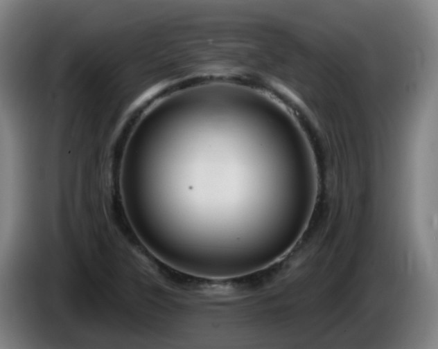 X0000086101315200703301206