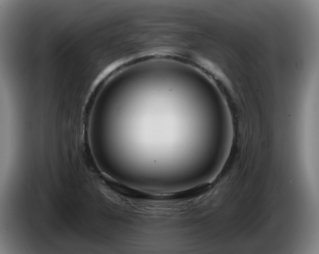 X0000086101316200703301206