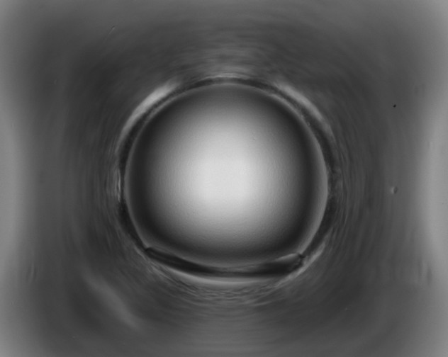 X0000086101317200703301206