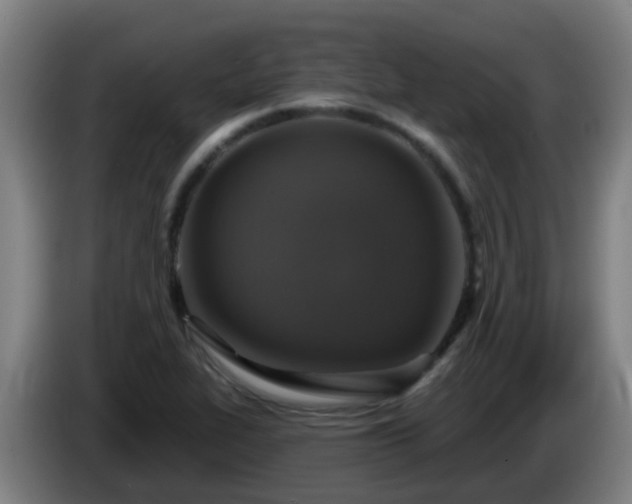 X0000086101319200703301206
