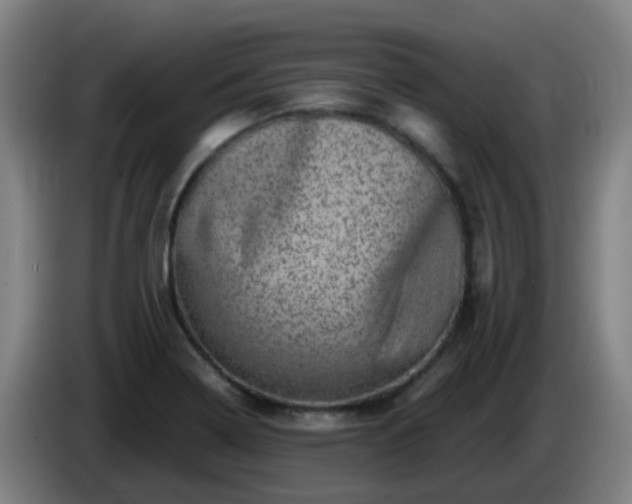 X0000086101322200703301206