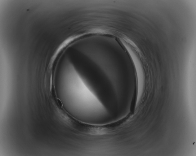 X0000086101323200703301206