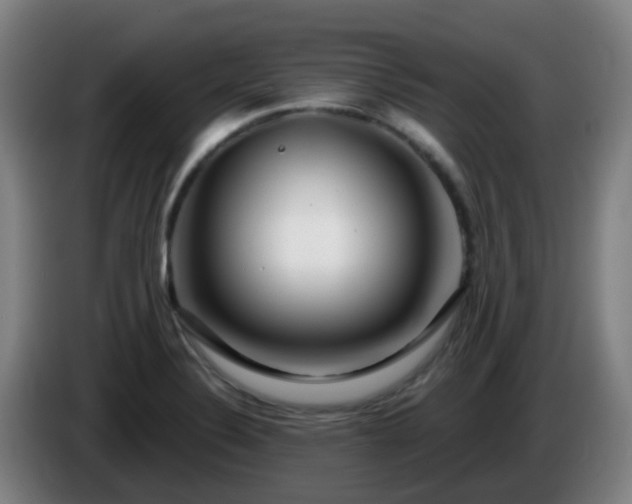 X0000086101324200703301206