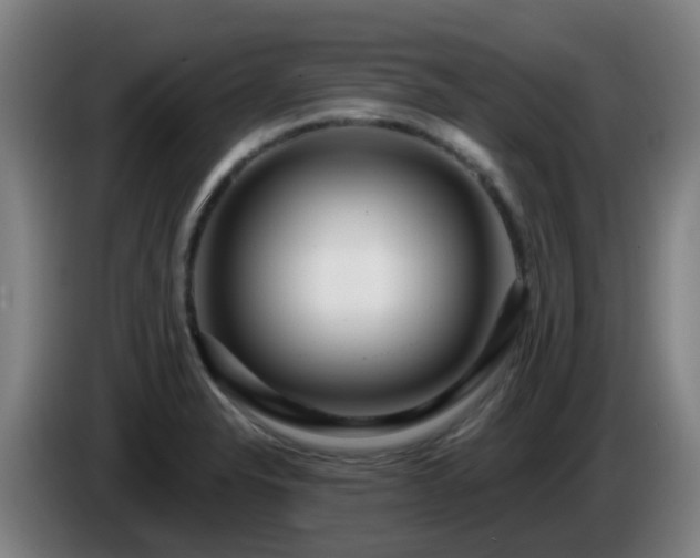 X0000086101326200703301206
