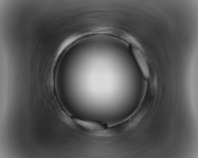 X0000086101328200703301206