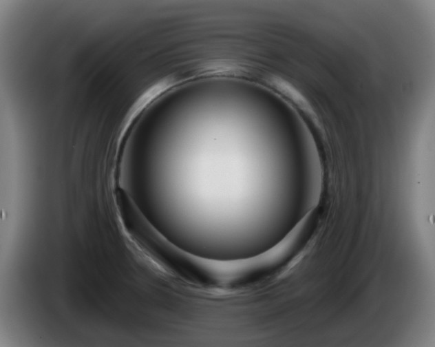 X0000086101330200703301206