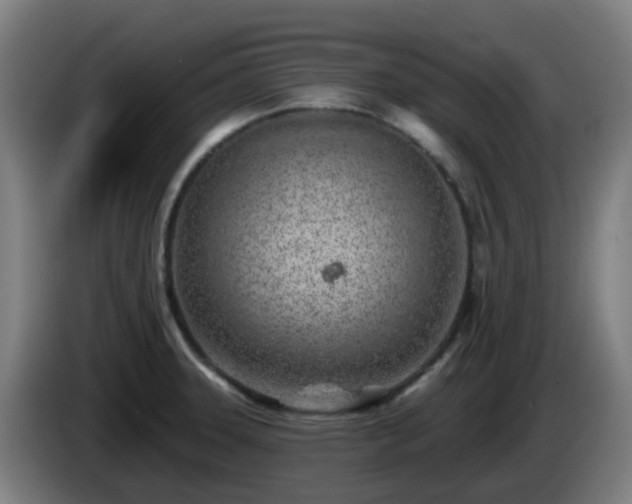 X0000086101331200703301206