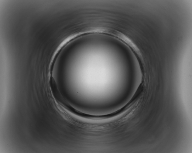 X0000086101332200703301206