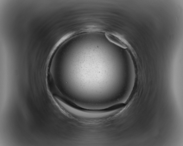 X0000086101333200703301206