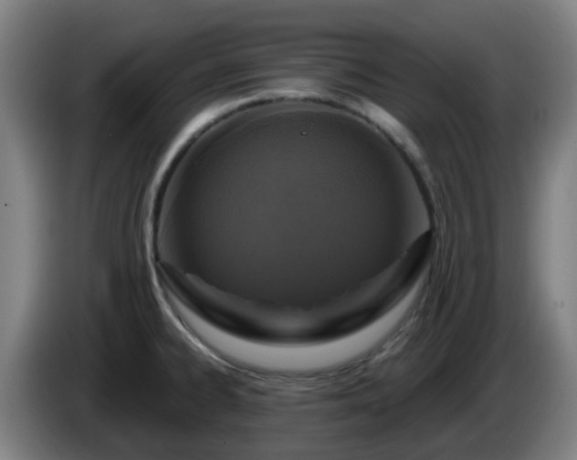 X0000086101334200703301206
