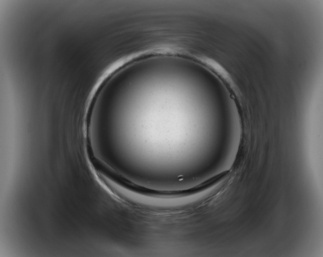 X0000086101335200703301206