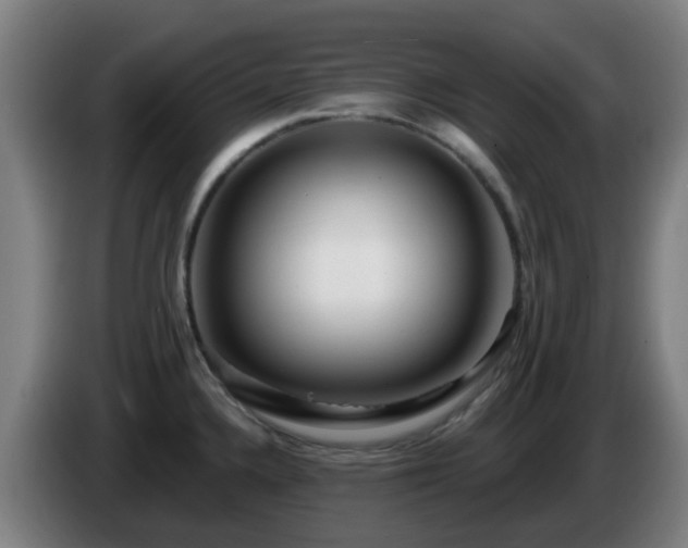 X0000086101336200703301206