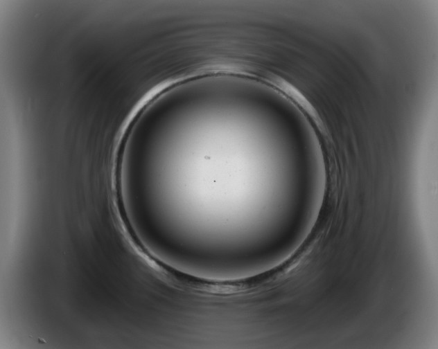 X0000086101339200703301206