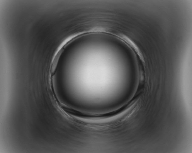 X0000086101340200703301206