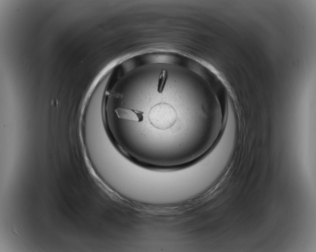 X0000086101342200703301206