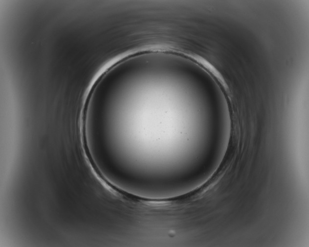 X0000086101343200703301206