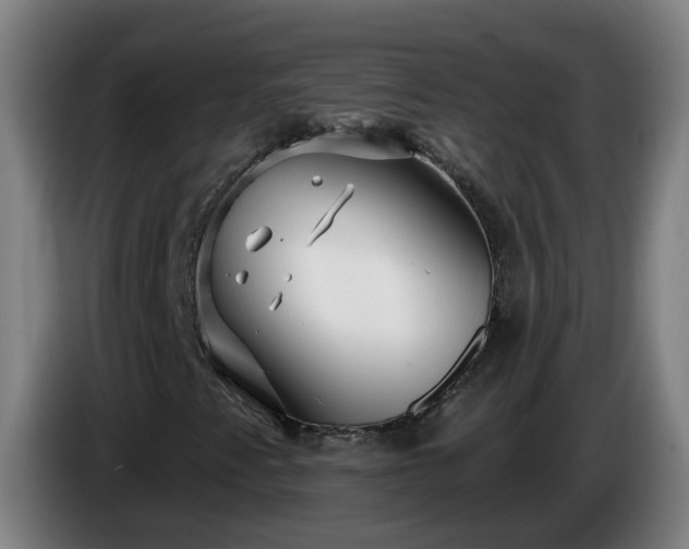 X0000086101345200703301206