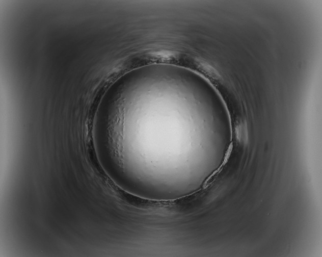X0000086101347200703301206
