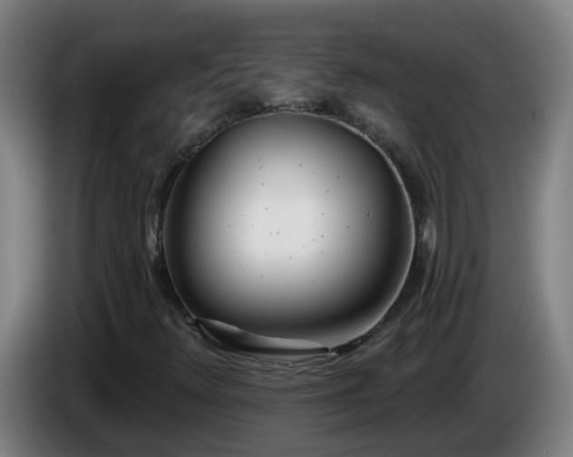 X0000086101348200703301205