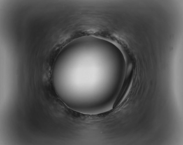 X0000086101349200703301205
