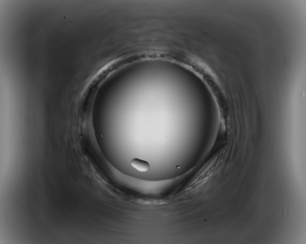 X0000086101352200703301205