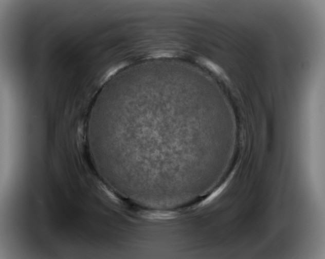 X0000086101353200703301205