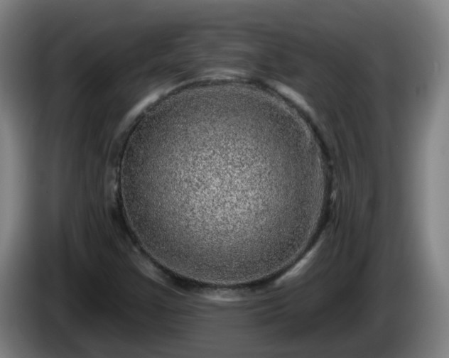 X0000086101355200703301205