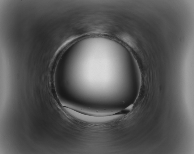 X0000086101356200703301205